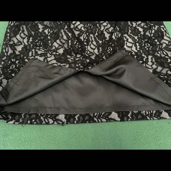 The Limited Lace Skirt - Picture 7 of 10